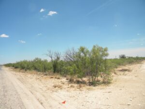 Subdivision2-8-1024x768