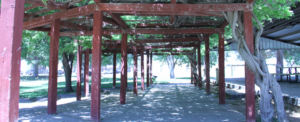 slide2-1024x418